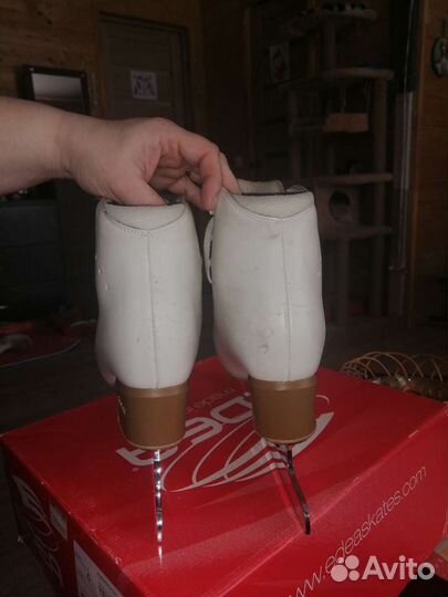 Фигурные коньки edea chorus