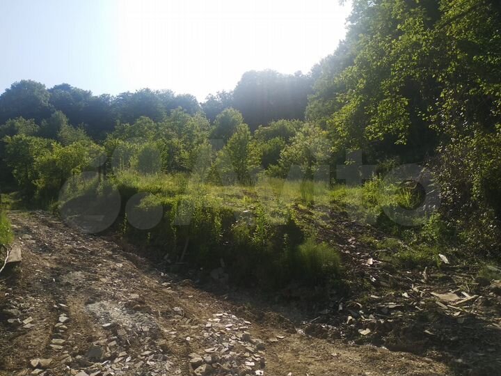 Участок 6 сот. (СНТ, ДНП)