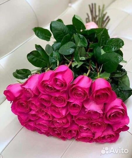 Цветы розы Эквадор