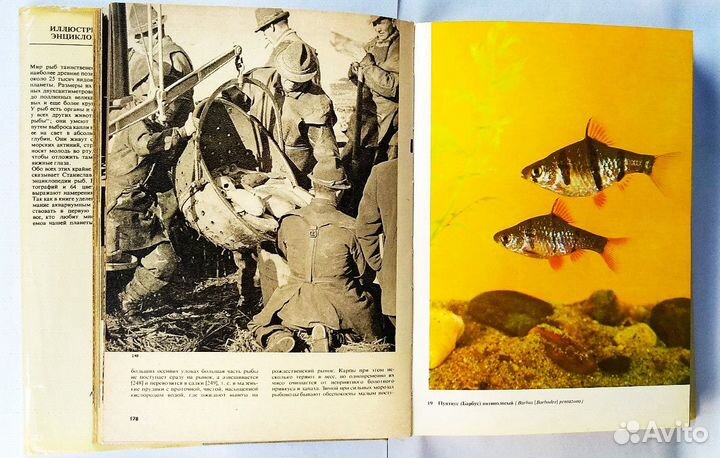 Иллюстрированная энциклопедия рыб