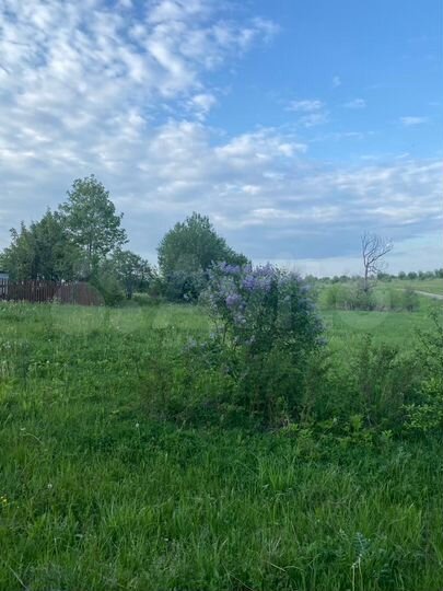 Участок 19,9 сот. (ИЖС)