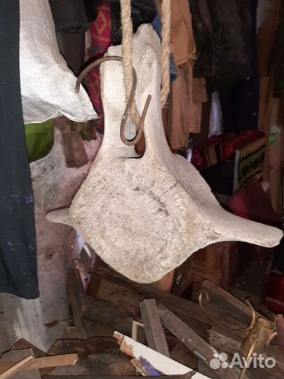 Древняя кость (позвонок)