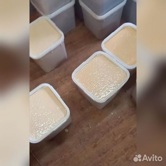 Мёд\мед/донник