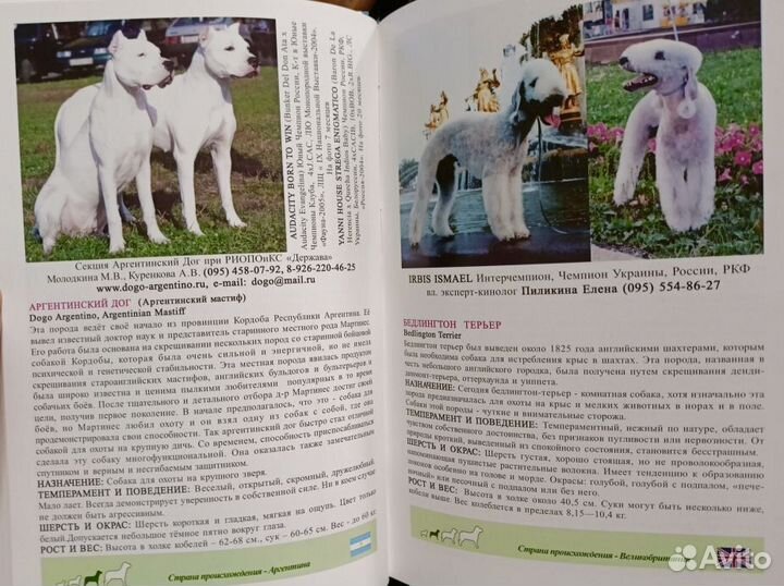 Мини-атлас пород собак