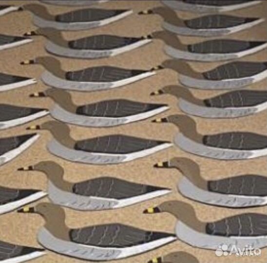 Профиля гуся гуменник,10 штук