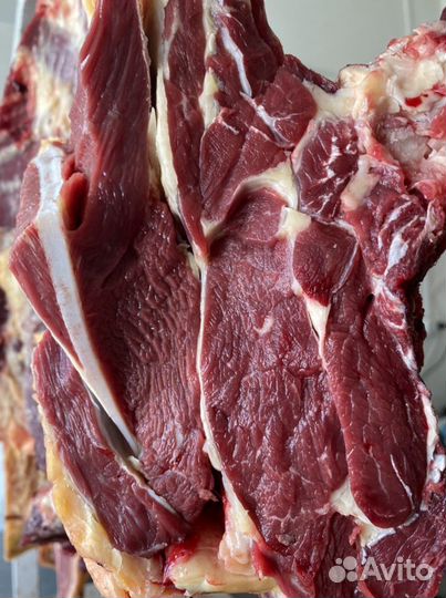 Мясо Оптом и в розницу