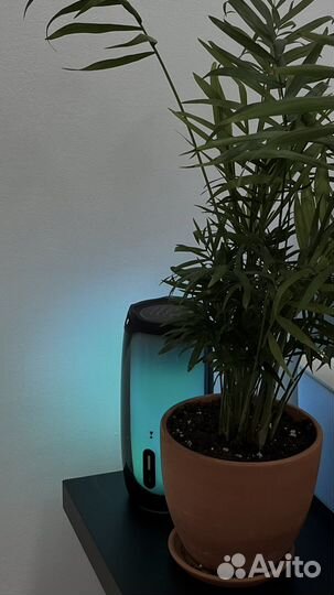 Рабочее место тату-мастера