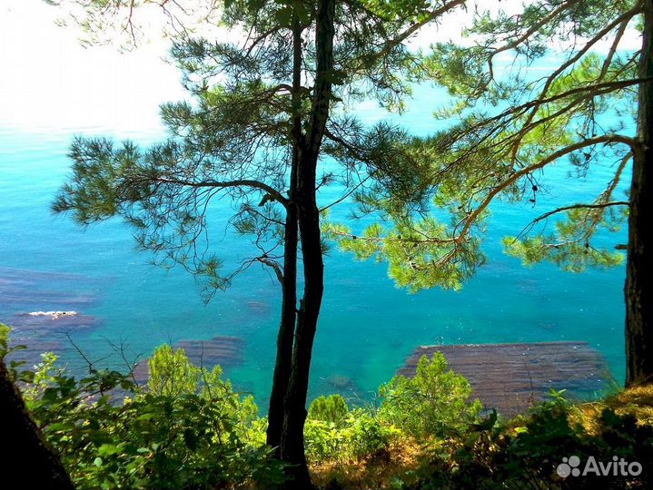 Трава горы дом море, укромное место