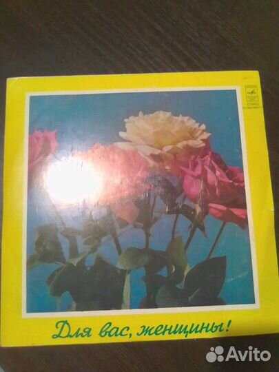 Грампластинка