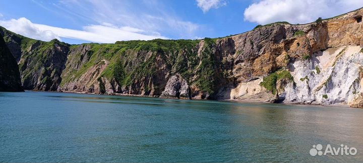 Морские прогулки б. Русская, о. Старичков,Камчатка