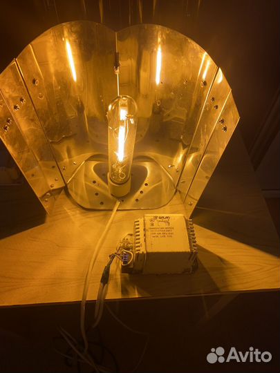 Днат 250-400 лампа в сборе