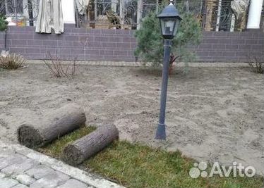 Продажа Рулонного газона