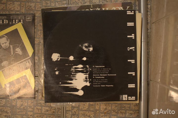 Коллекция виниловых пластинок