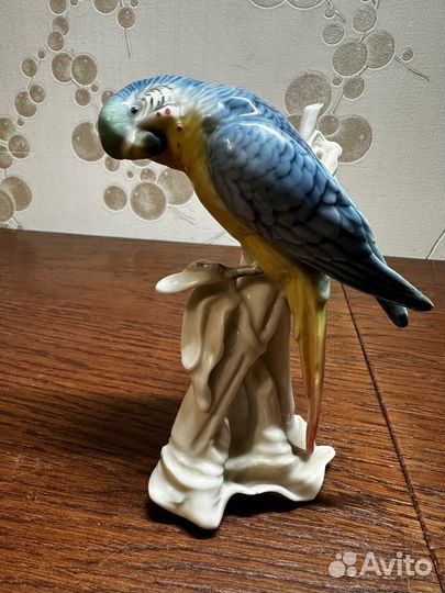 Фарфор Попугай Германия