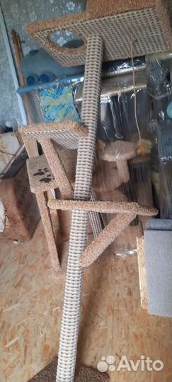 Столбик когтеточка