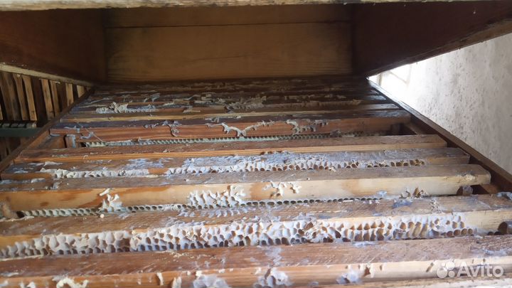 Продам медовые рамки на 300