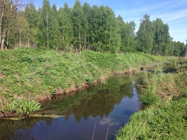 Участок 10 сот. (СНТ, ДНП)