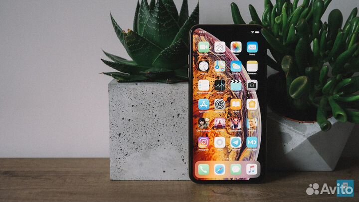 iPhone Xs Max