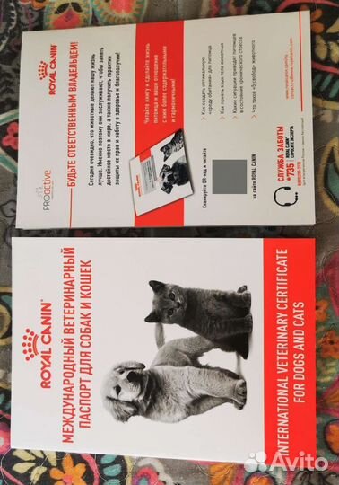 Корм для кошек