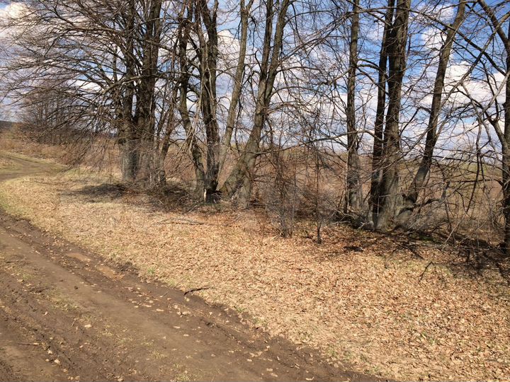 Участок 4,68 га (СНТ, ДНП)