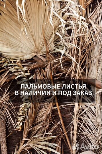 Пальмовые листья