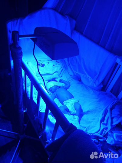 Аренда лампы от желтушки новорождённых