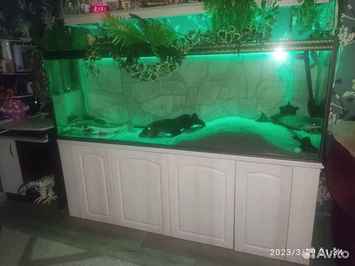 Продам аквариум