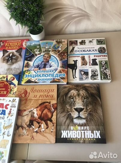 Книги для детей