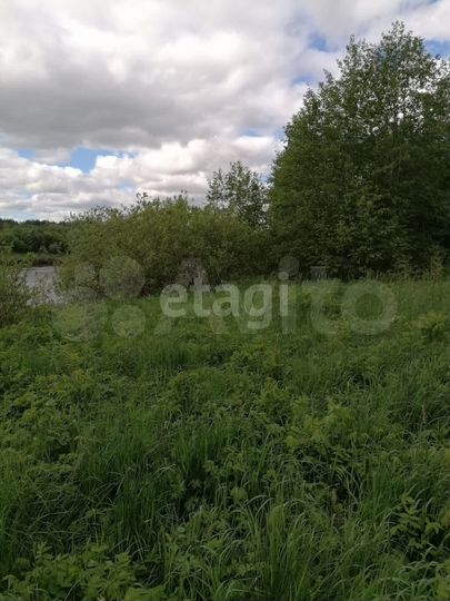 Участок 2,56 га (личное подсобное хозяйство (лпх))