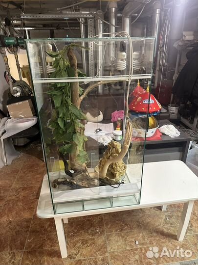 Террариум для хамелеона