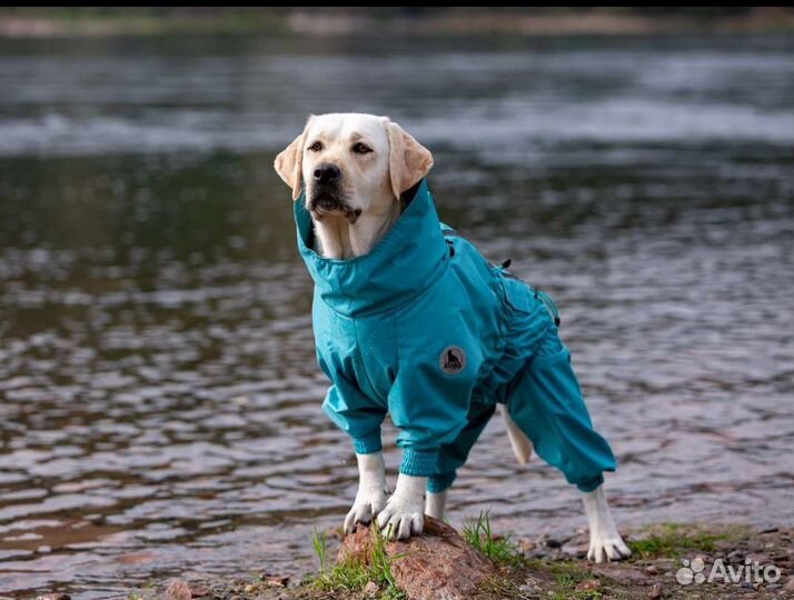Зимний комбинезон для крупной собаки L65