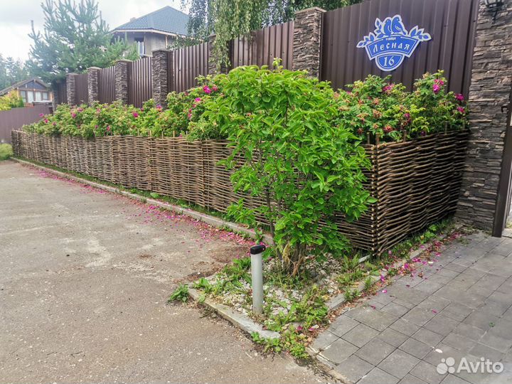 Плетень из орешника