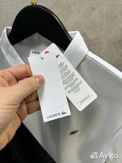 Поло Lacoste