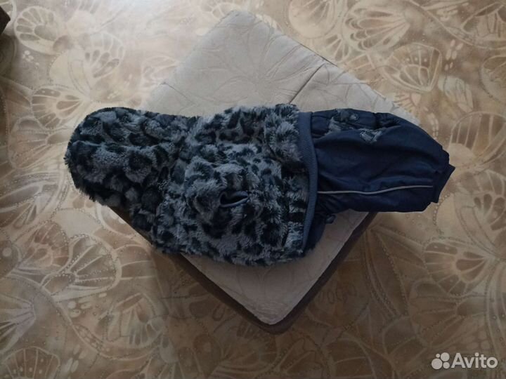 Зимний комбинезон для маленьких собак (мальчика)