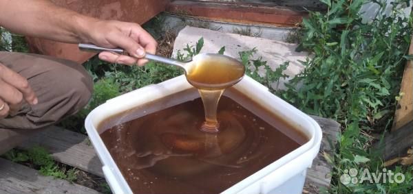 Гречишный свежий мед оптом