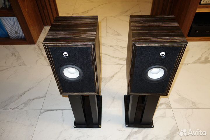 Aurora Audio Silver Monitor