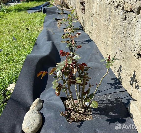 Геотекстиль от производителя в наличии