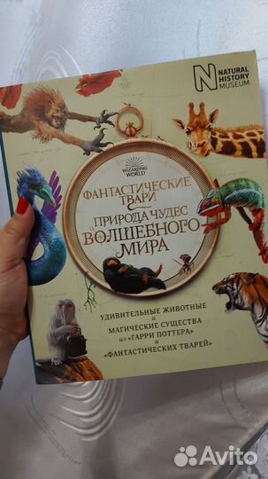 Гарри Поттер