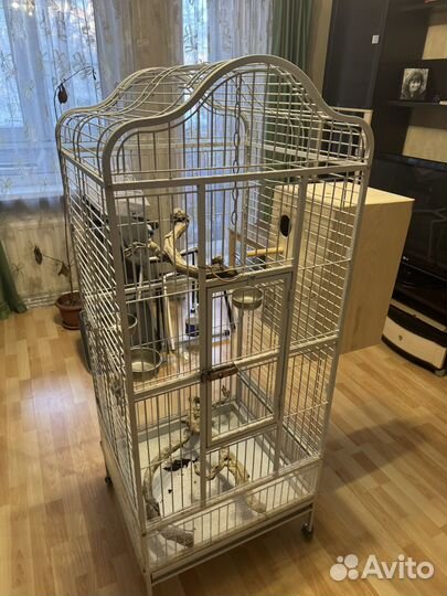 Клетка для попугая