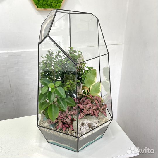Флорариум 