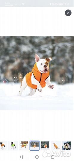 Куртка для собак AiryVest двусторонняя, XS 25