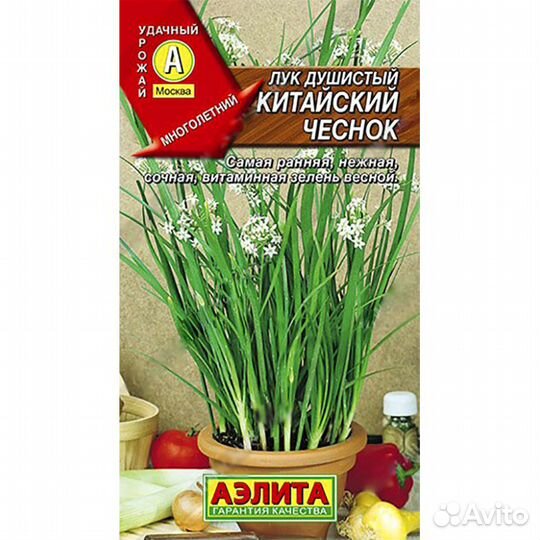 Лук Китайский чеснок душистый