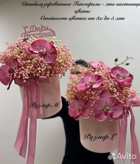 Композиции из стабилизированных гипсофил