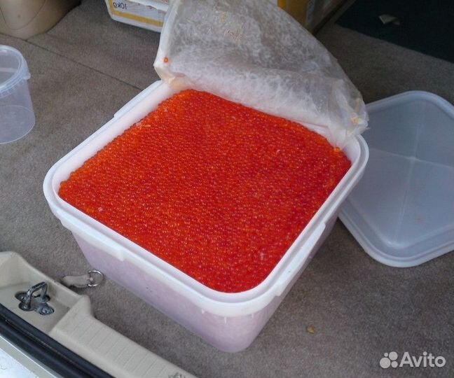 Икра горбуши 2023 Опт