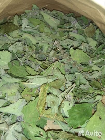 Лечебные травы и корни