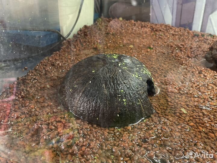 Аквариум полный комплект