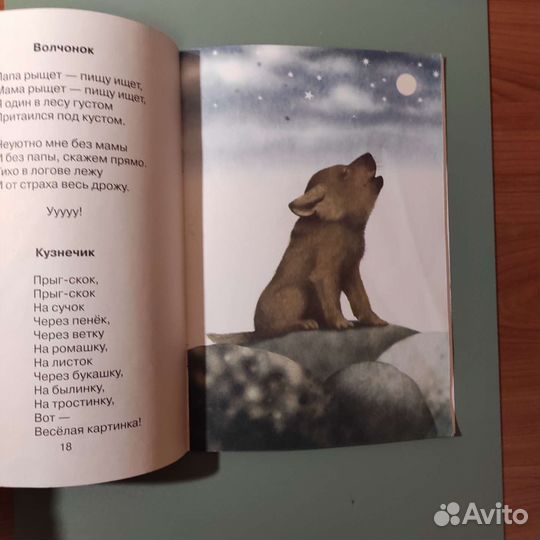 Елена Полещенкова. Крохи. 38с 2006