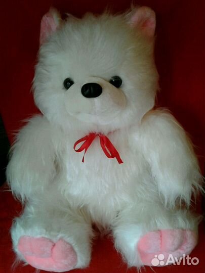 Новый большой медведь