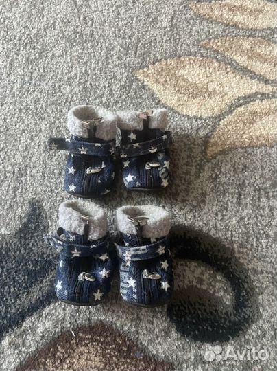 Одежда для собак мелких пород