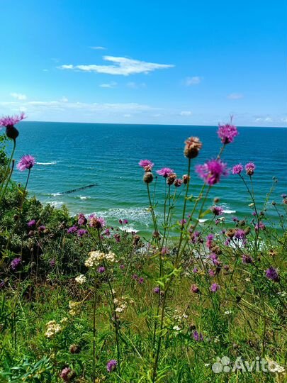Гид экскурсовод по Калининградской области